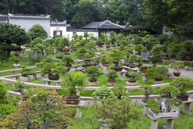 Suzhou, Çin