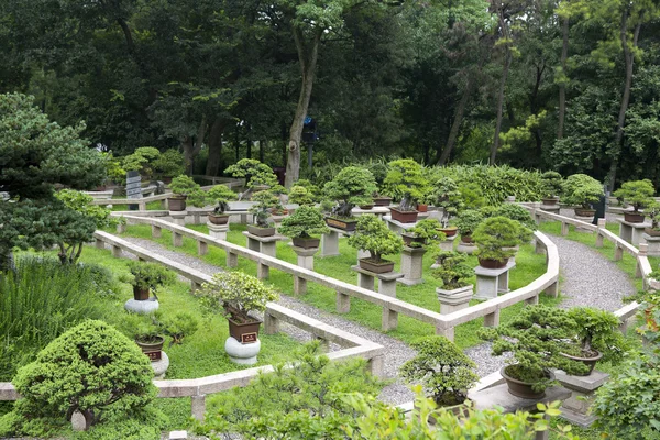 소 주, 중국 — 스톡 사진