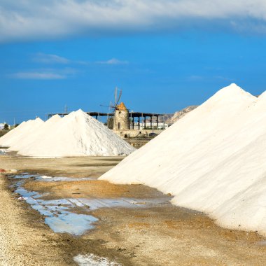 trapani salin