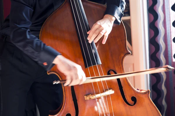 Double bass — Stock Photo, Image