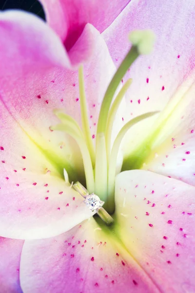 Jewelry, lilium — Stock Photo, Image