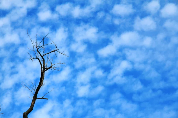 Cielo, la belleza de la naturaleza — Foto de Stock