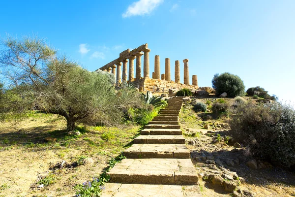 Ναός του Ήρα — Φωτογραφία Αρχείου