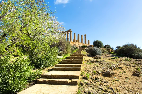 Templo de Juno — Fotografia de Stock