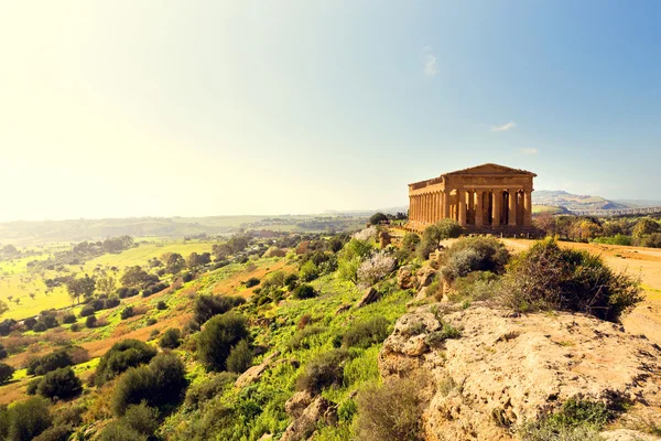 Concordia Tapınağı — Stok fotoğraf