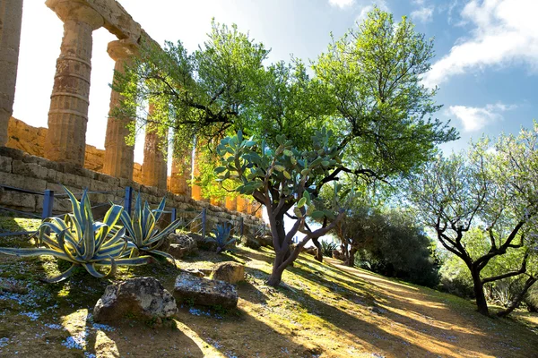 Temple of Juno — Stock Photo, Image