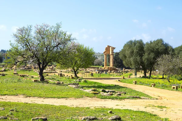 Antiguo Templo Griego de los Dioscuros — Foto de Stock