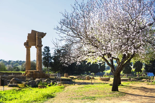 Ancient Greek Temple of the Dioscuri — Stock Photo, Image