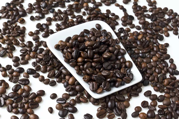 Coffee beans — Stock Photo, Image