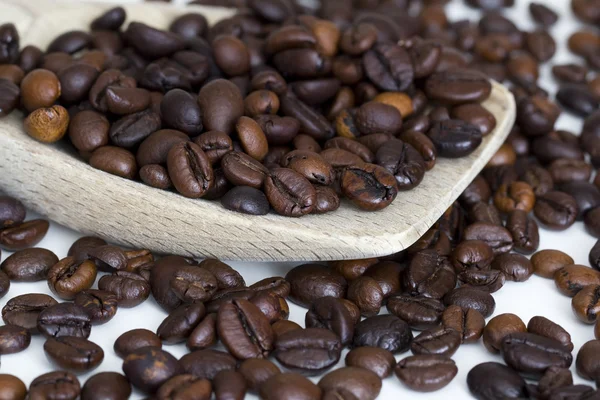 Coffee beans — Stock Photo, Image