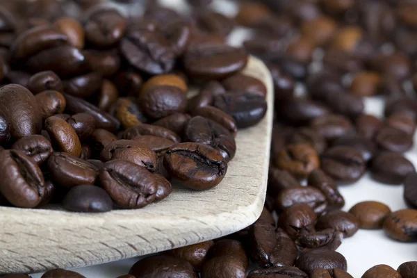 Coffee beans — Stock Photo, Image