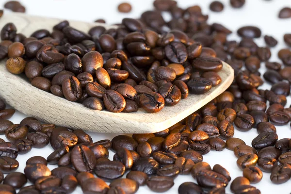 Coffee beans — Stock Photo, Image