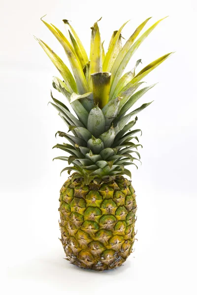 Pineapple, ananas — Stock Photo, Image