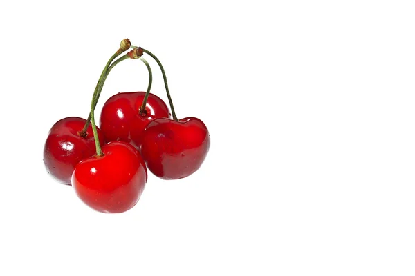 Cherries — Stock Photo, Image