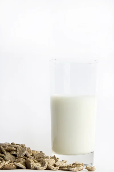 Milk — Stock Photo, Image