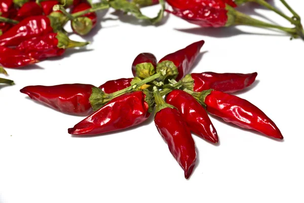 Rote Chilischote — Stockfoto