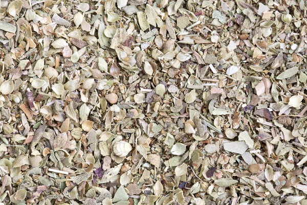 Oregano — Stockfoto