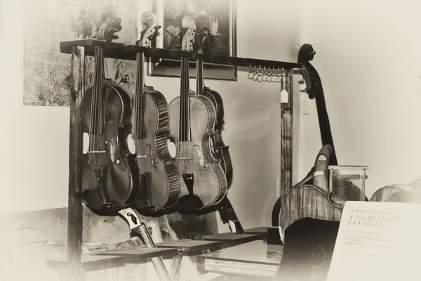 Violins — Stock Photo, Image