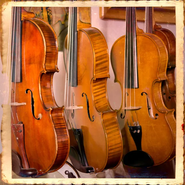 Violins — Stock Photo, Image