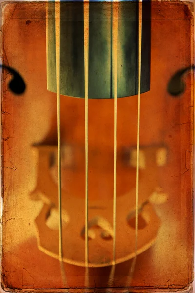 Double bass — Stock Photo, Image