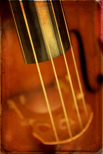 Double bass — Stock Photo, Image