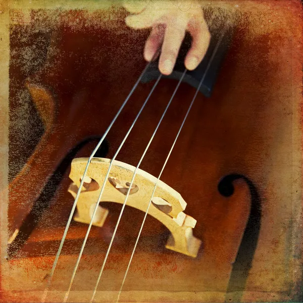 Double bass — Stock Photo, Image