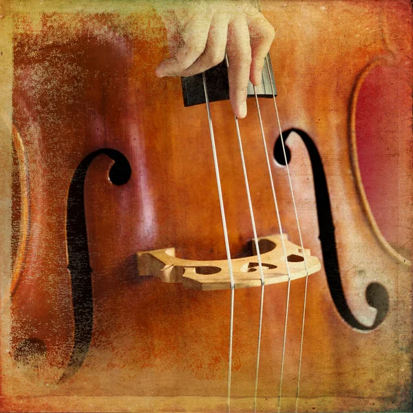 Double bass — Stock Photo, Image