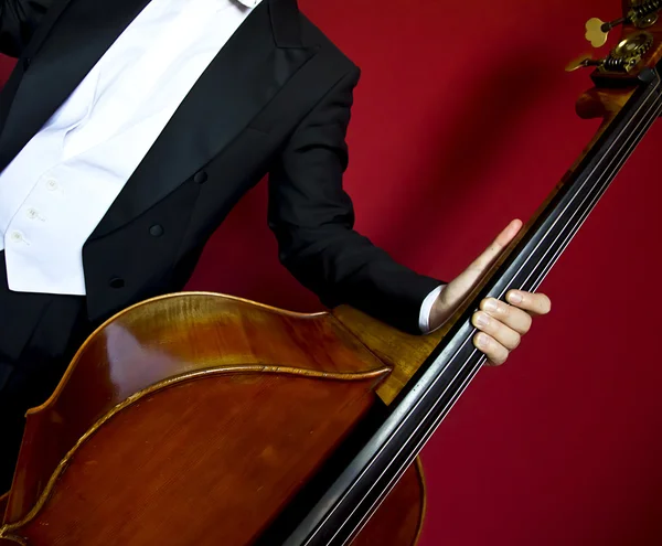 Double bass — Stock Photo, Image