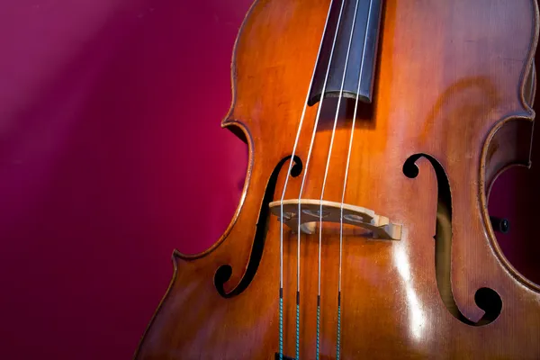 Double bass — Stock Photo, Image