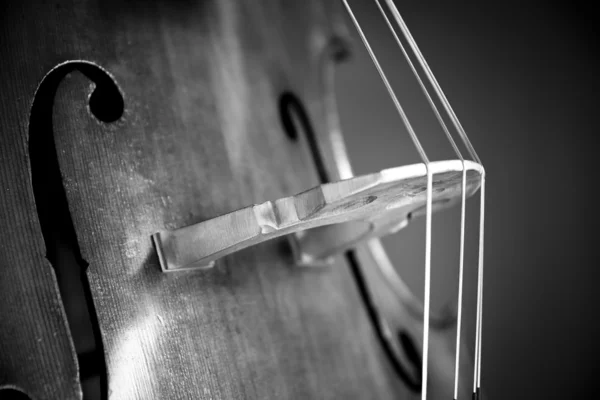 Double bass — Stok Foto