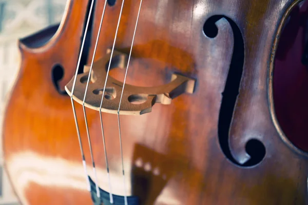 Double bass — Stock Photo, Image