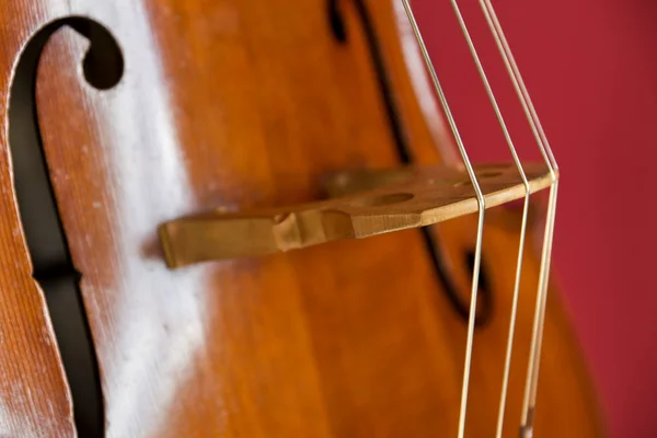 Double bass — Stock Photo, Image