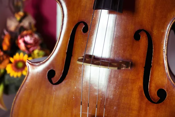 Double bass — Stock Photo, Image