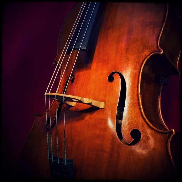 Double bass — Stock Photo, Image