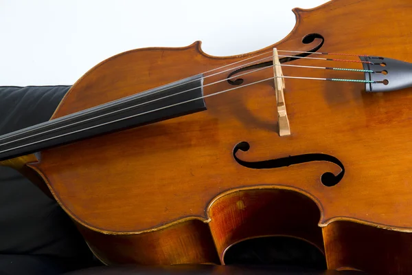 Double bass — Stock Photo, Image