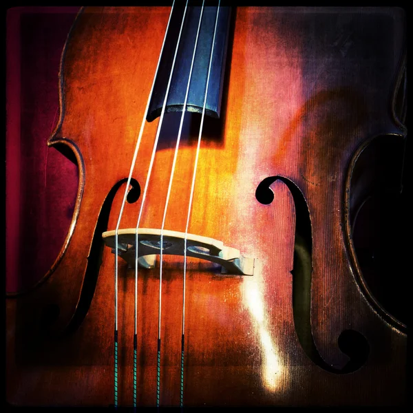 Double bass — Stock Photo, Image