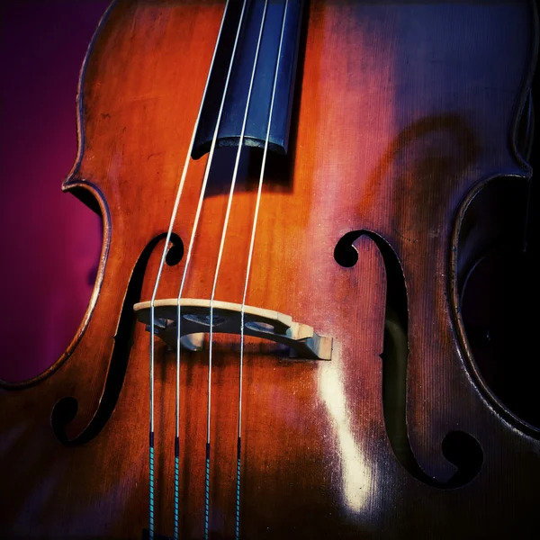 Double bass — Stock Photo, Image