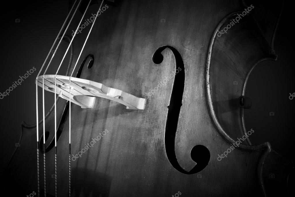 Double bass Stock Photo by ©lachris77 44018279