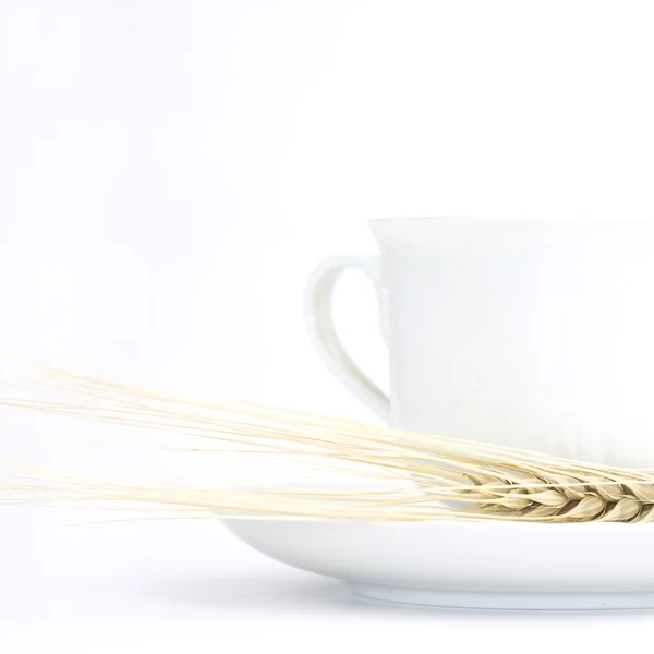 White ceramic teacup with ear of whea — Stock Photo, Image