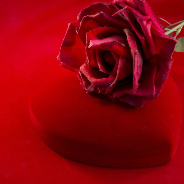 Red velvet box with rose — Stock Photo, Image