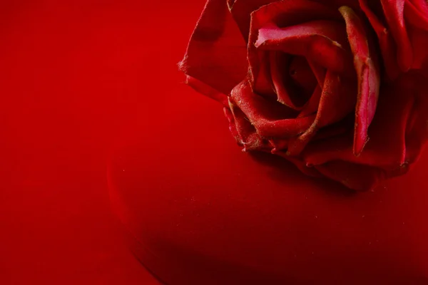 Red velvet box with rose — Stock Photo, Image