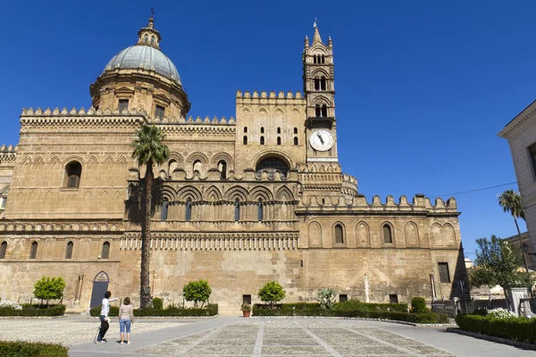 Palermo-félék — Stock Fotó