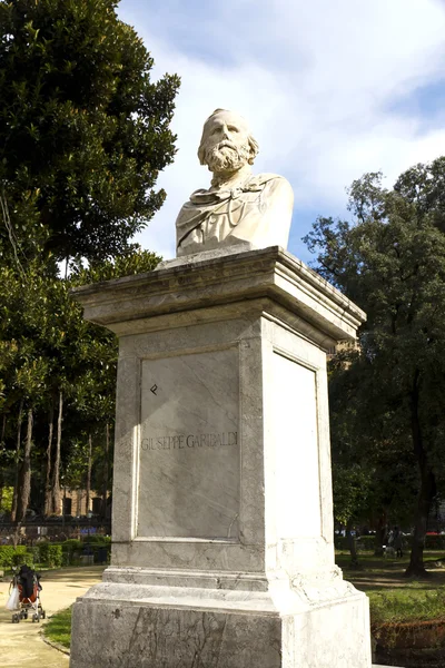 Giuseppe Garibaldi — Stok fotoğraf