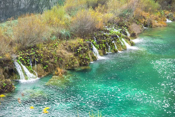 Plitvicei-tavak Nemzeti Park — Stock Fotó