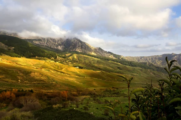 Santo Stefano Quisquina — Stok Foto