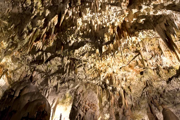 Cueva de Postojna —  Fotos de Stock