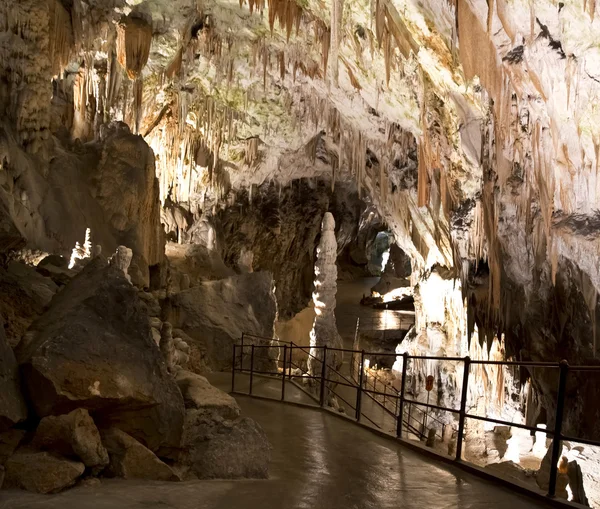 Cueva de Postojna — Foto de Stock