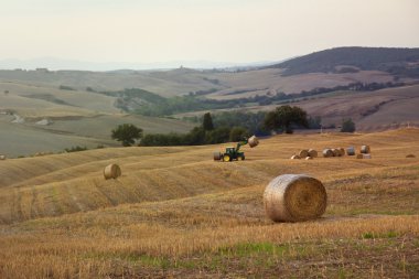 Montalcino