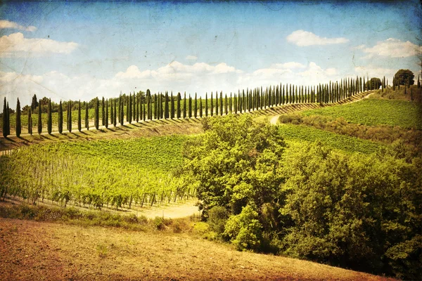 The landscape of the Tuscany. Italy — Stock Photo, Image