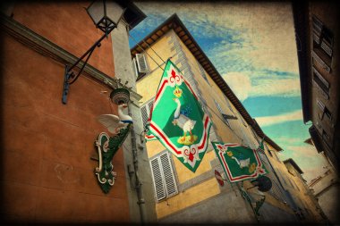 Siena